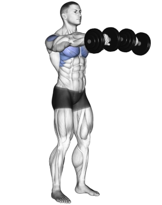Front Raise Dumbbell Shoulder Exercises