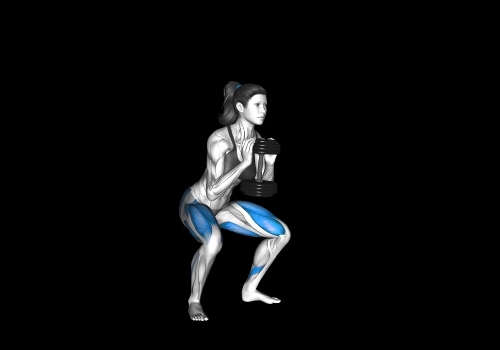 Goblet Squats -Are Deep Squats Bad for Your Knees