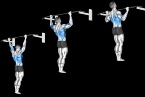 How Many Pull Ups Should I Be Sble to Do