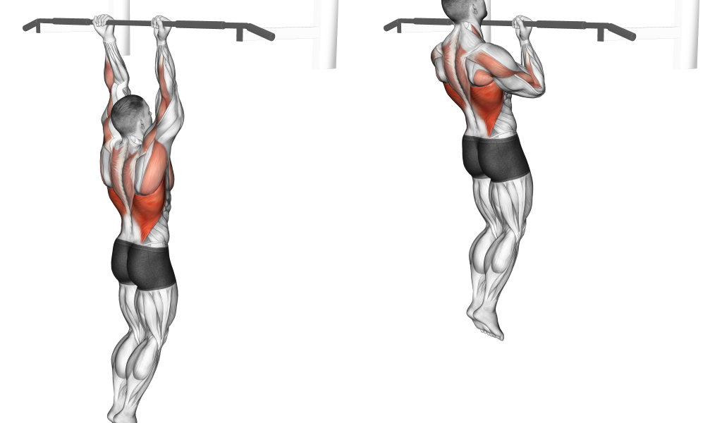 How to Do Close Grip Pull-Ups With Proper Form