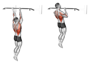 How to Do Close Grip Pull-Ups With Proper Form