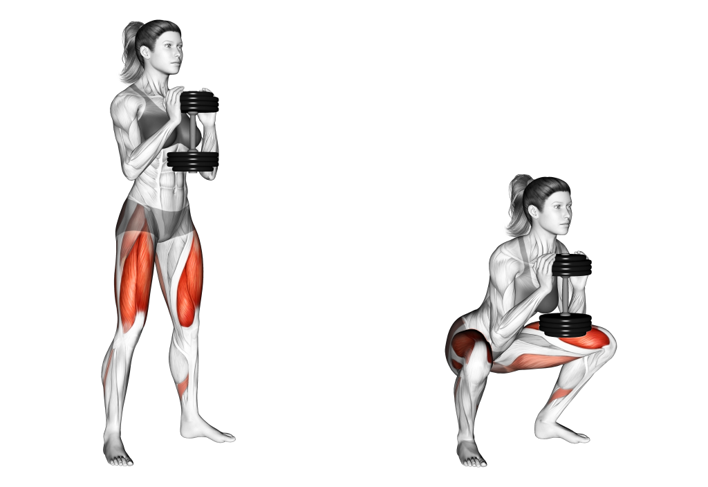 How to Do DB Front Squat Improve Training Results