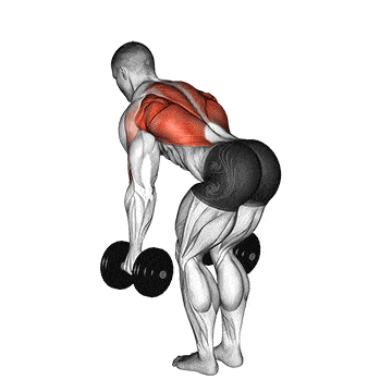 How to Do the Rear Delt Row