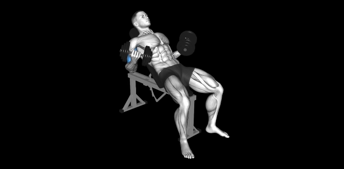Incline Dumbbell Curl