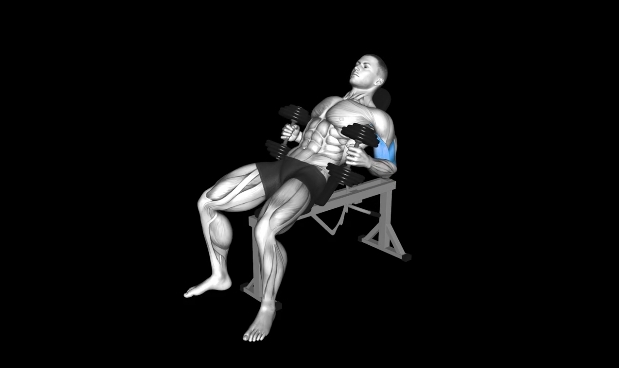 Incline Hammer Curl
