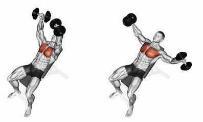 Incline Dumbbell Flye