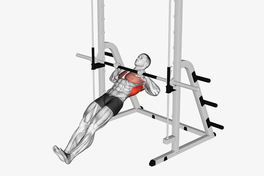 Inverted Row