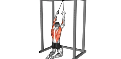 Kneeling Lat Pulldown