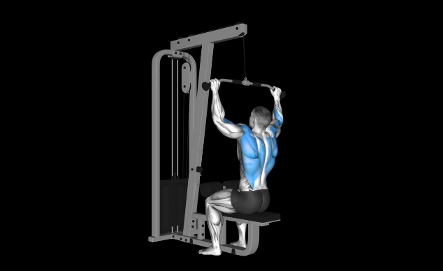 Lat Pulldown