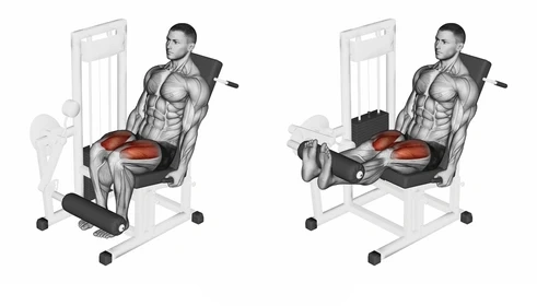 Leg Extension 2 sets x 12 reps