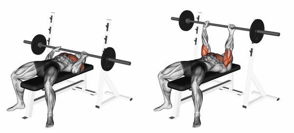 Neutral Grip Incline Press