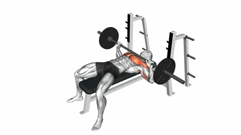Proper Bench Press Form Steps