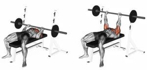 Proper Bench Press Form for Lifting More Weight