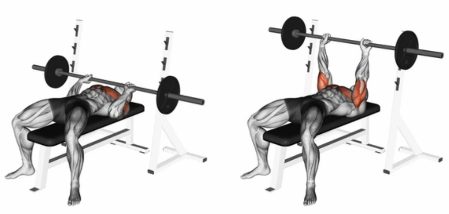Proper Bench Press Form for Lifting More Weight