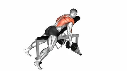 Rear Delt Row - lateral deltoid muscle exercises