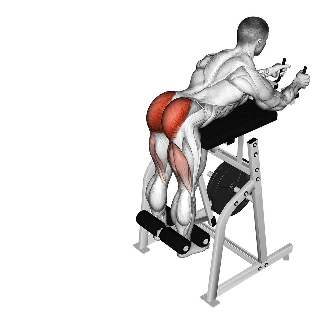 Reverse Hyperextensions
