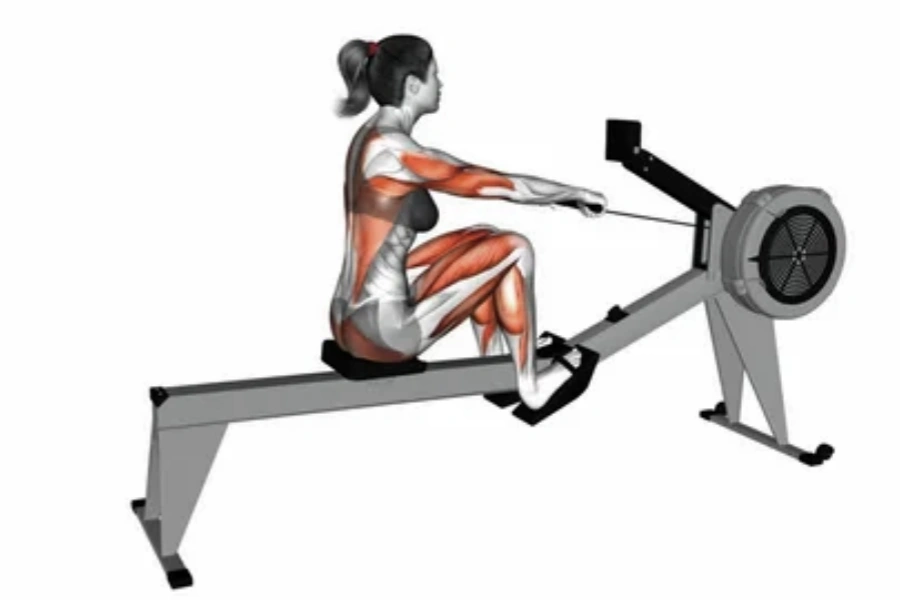 Rowing Machine