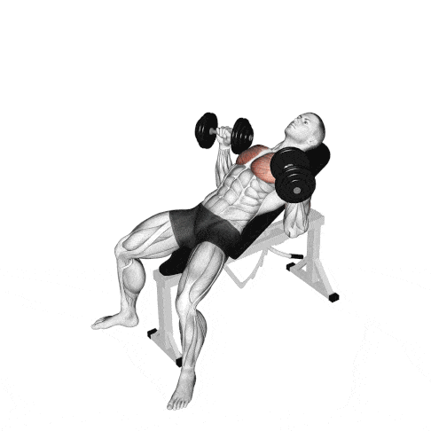 Safely Do an Incline Dumbbell Press