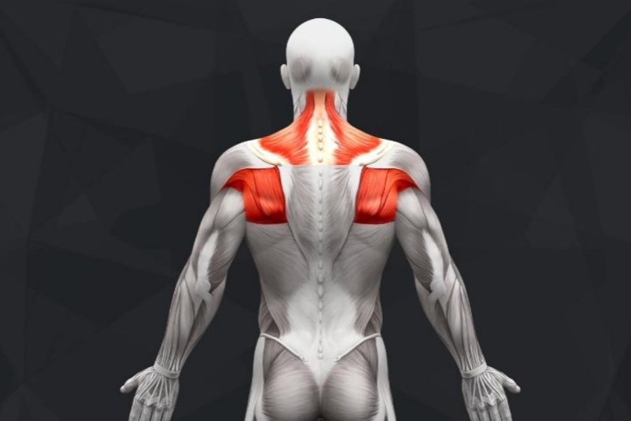 Scapular Stabilization Exercises for Strong Shoulders
