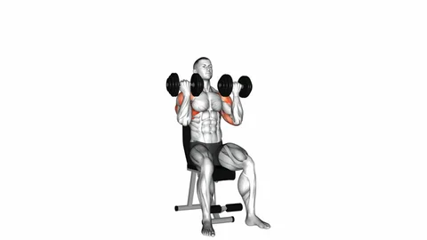 Seated Dumbbell Presshandstand push up
