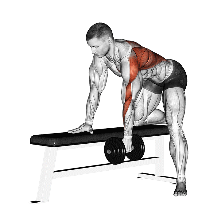 Single-Arm Dumbbell Rows