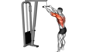 Straight-Arm Pulldowns