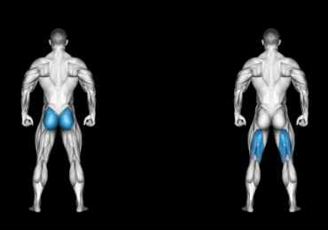 Suitcase Deadlift Muscles Worked