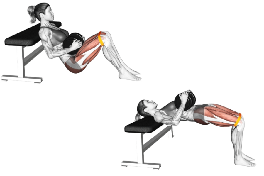 The Best Exercises for Hamstrings with Dumbbells
