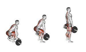 Trap Bar Deadlift Muscles Worked