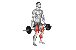Trap Bar Deadlift Muscles Worked What