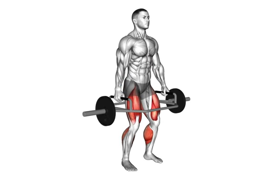 Trap Bar Deadlift Muscles Worked What