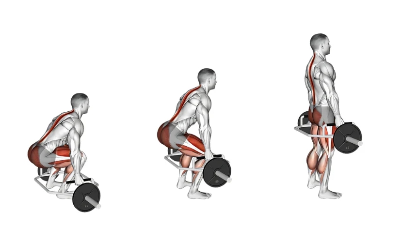 Trap Bar Deadlift Muscles Worked