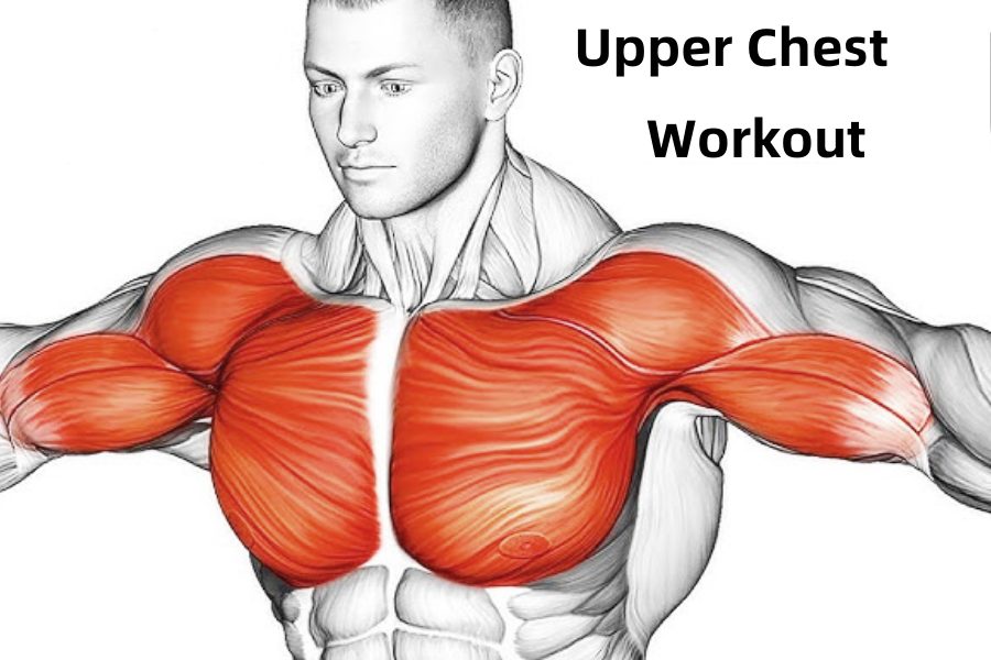 Upper Chest Workout
