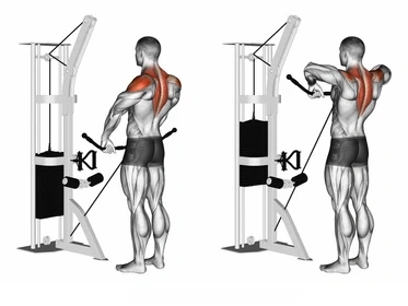 Upright Rows - How to Build Big Trap Muscles