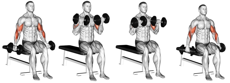 Zottman Curl best forearm workouts with dumbbells
