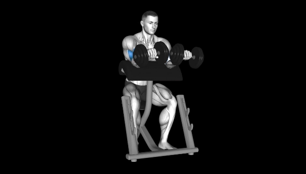 Zottman Preacher Curl