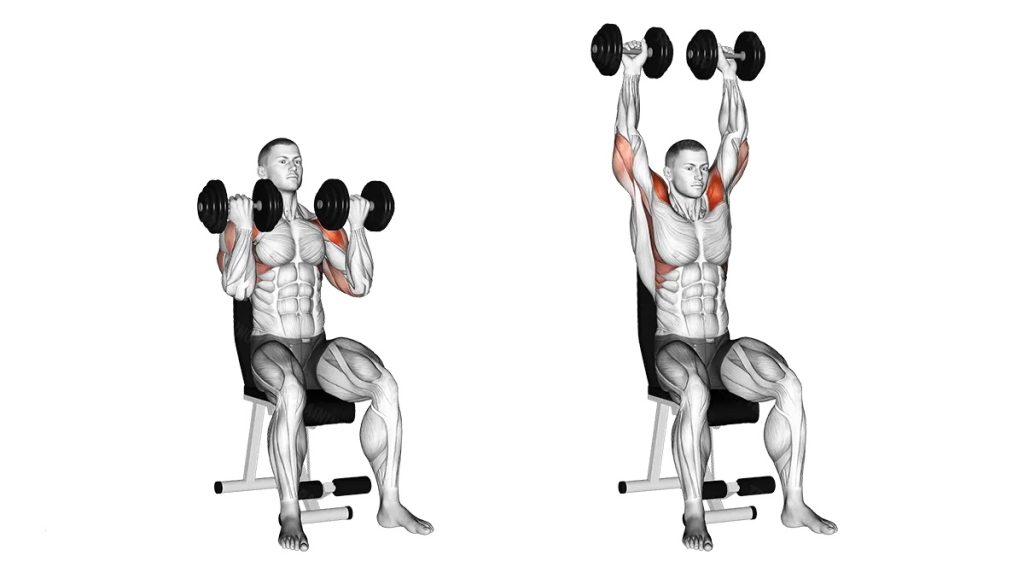 dumbbell shoulder exercise