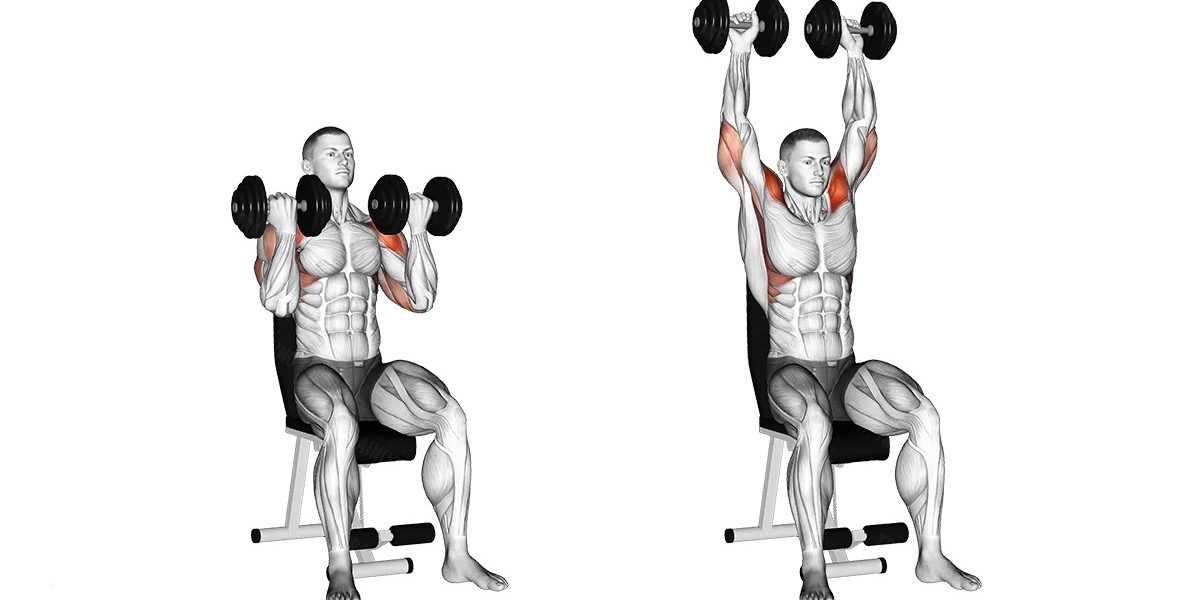 arnold press dumbbell