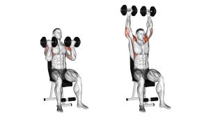 arnold press dumbbell