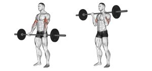 barbell curl