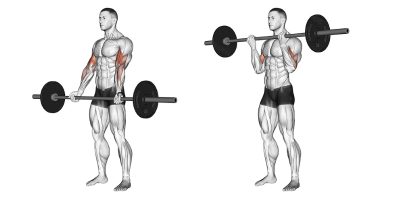 barbell curl