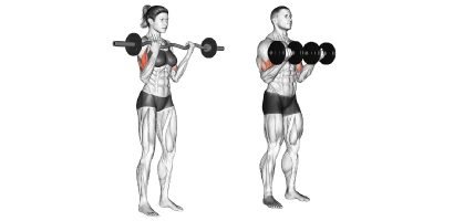 barbell curl vs dumbbell curl barbell curl vs dumbbell curl