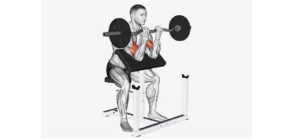 barbell preacher curl