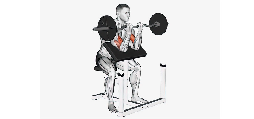 barbell preacher curl