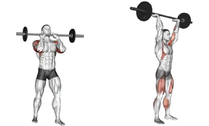 barbell strict press