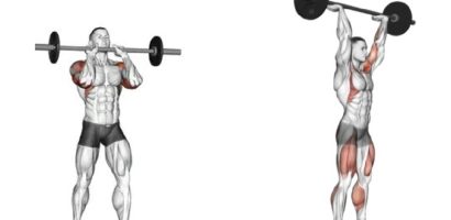 barbell strict press
