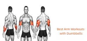 best arm workouts with dumbbells