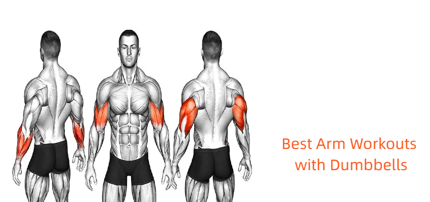 best arm workouts with dumbbells