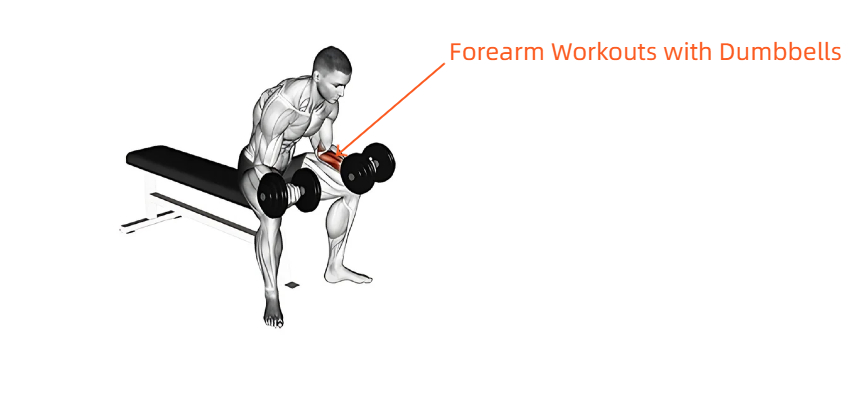 best forearm workouts with dumbbells