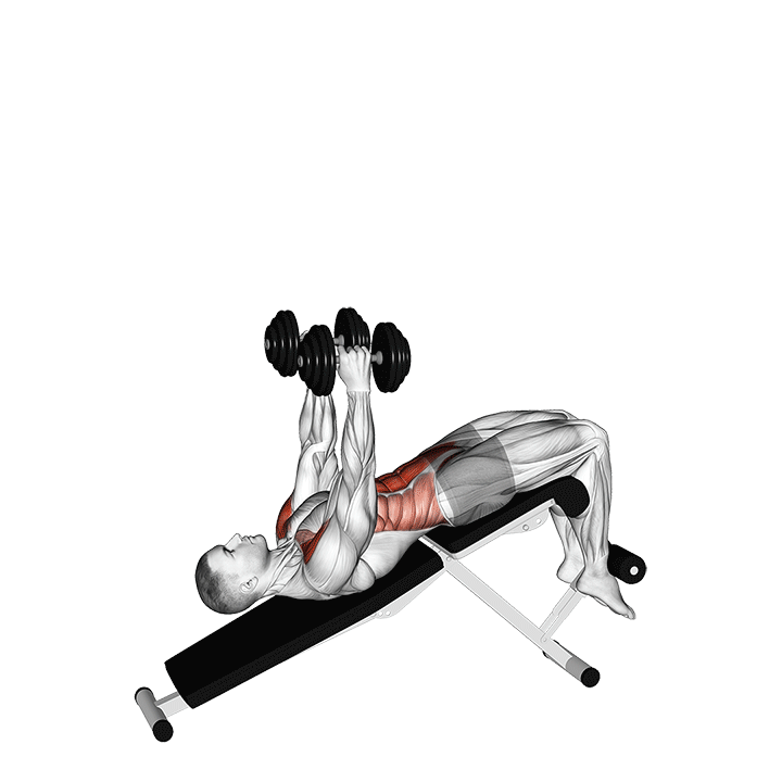 dumbbell decline overhead sit-up leg and core dumbbell workout